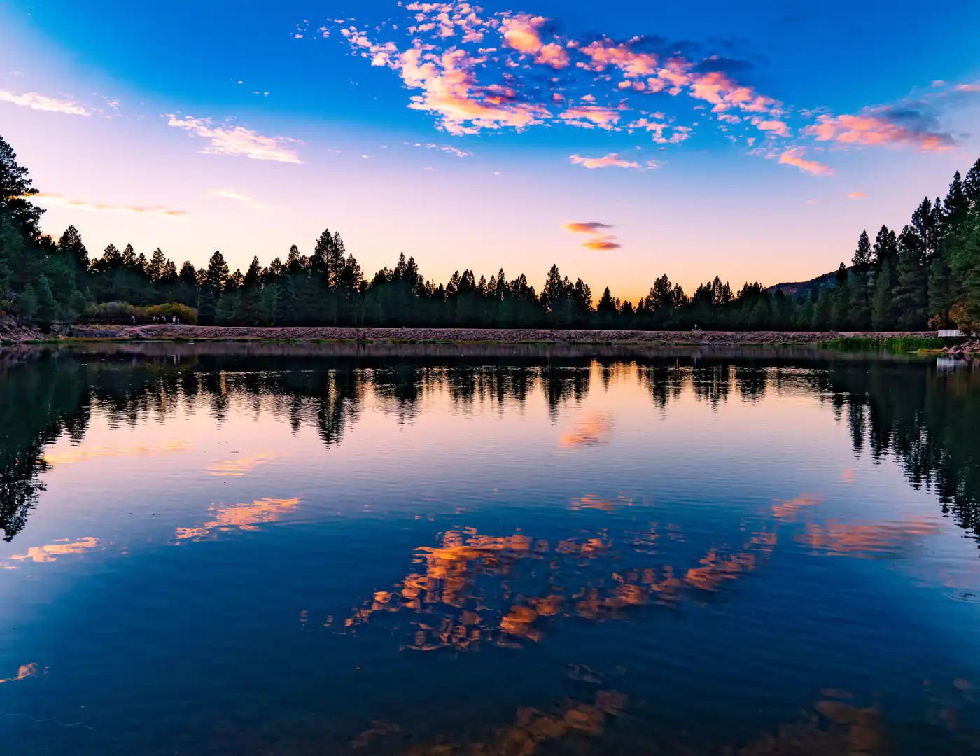 Mountain lake at dusk reflecting a deep blue sky and pink sunset clouds with a silhouette of pine forest along the shoreline