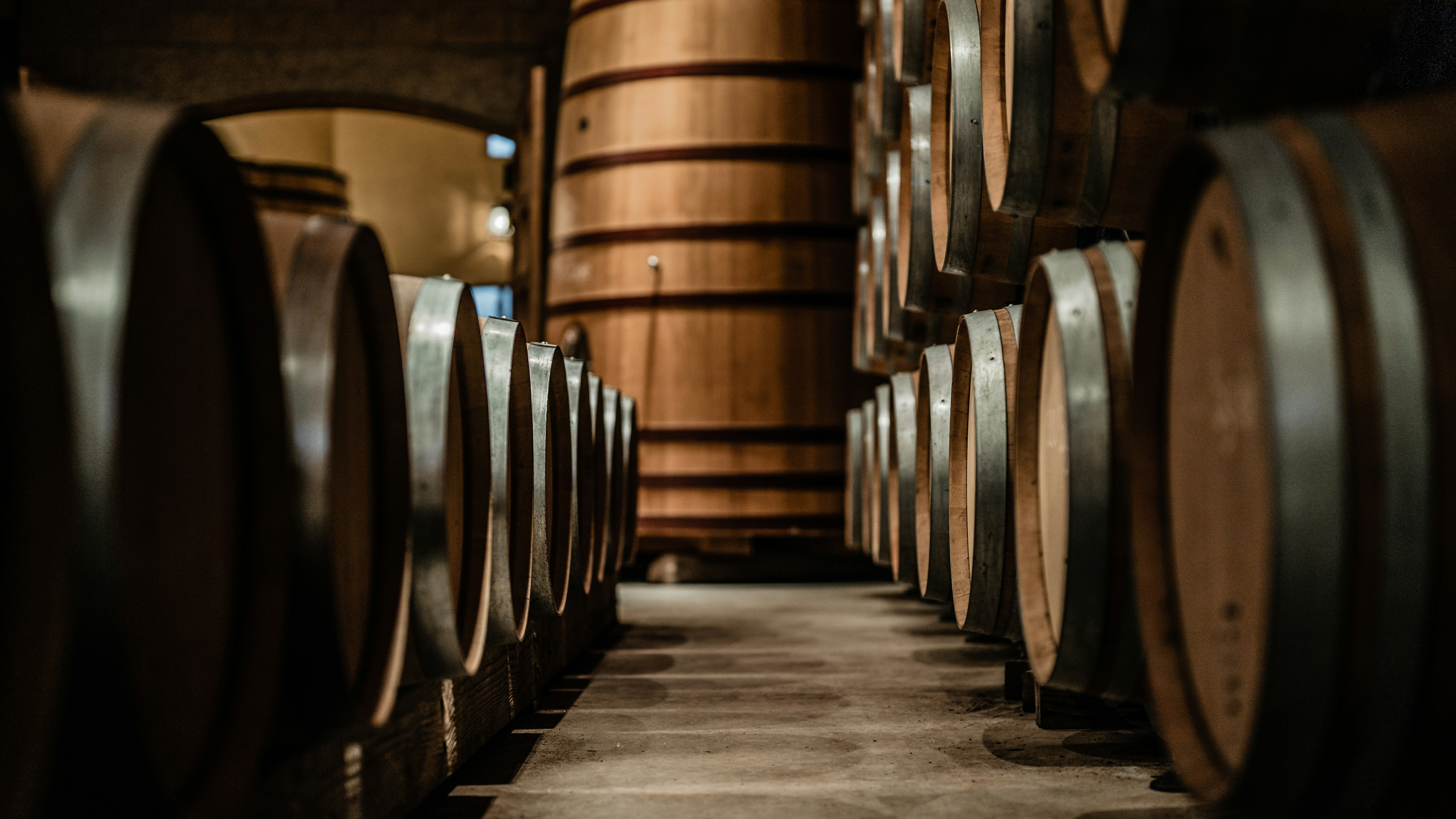 SERO Kentucky Classics: Bourbon, Bats & Bluegrass