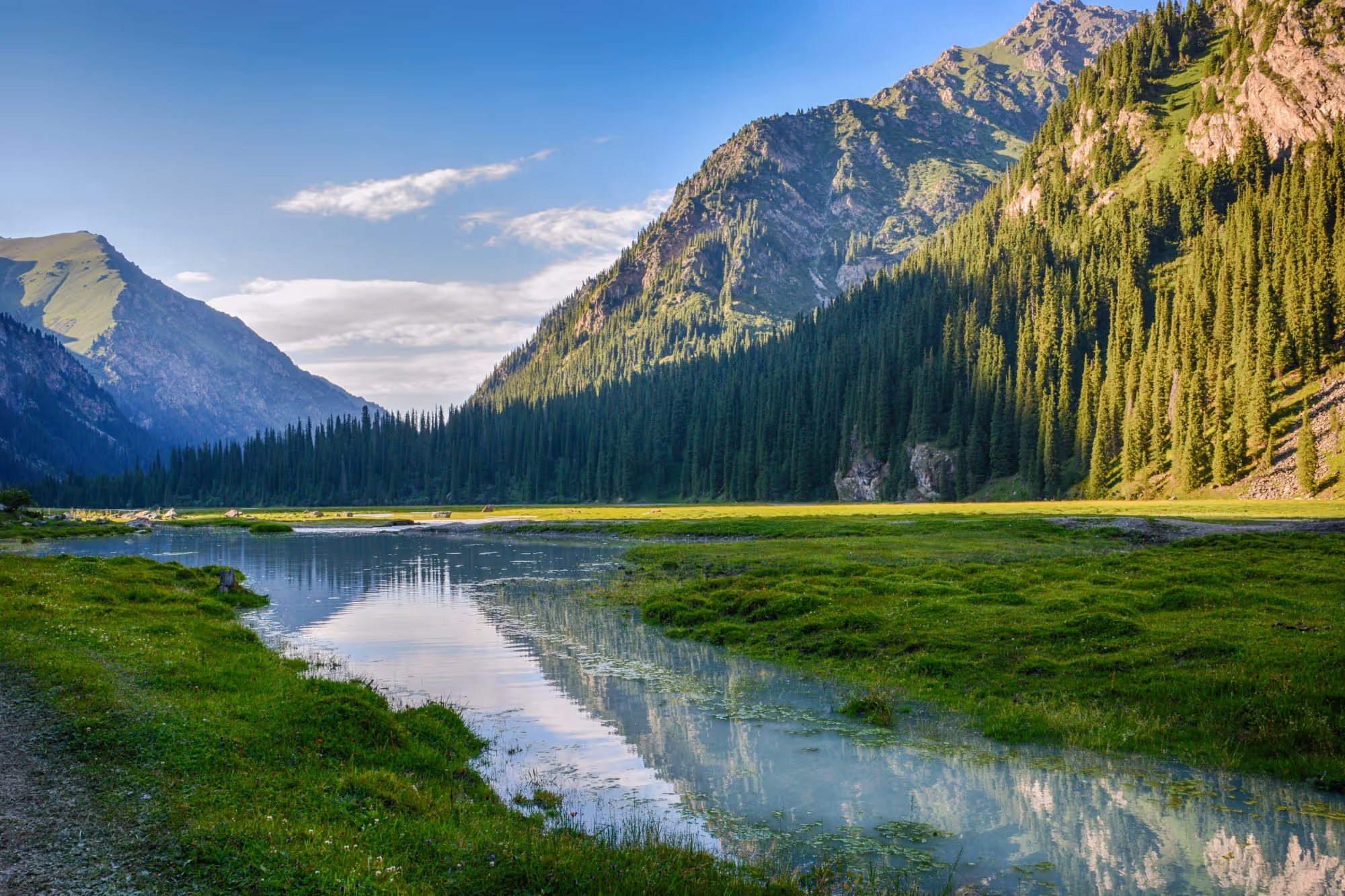 California Landscape