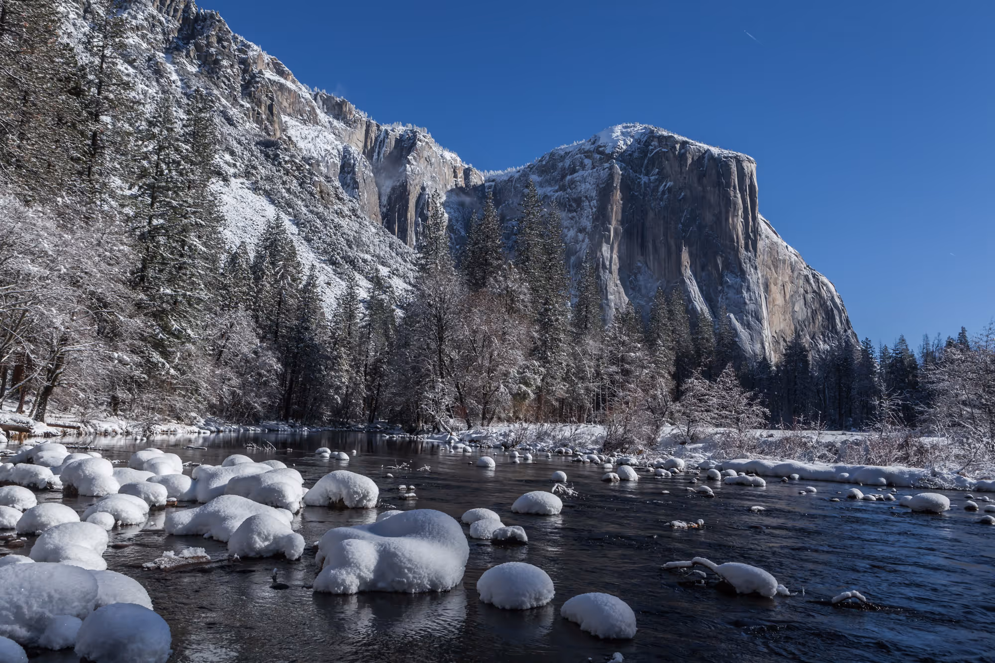 Snowy landscape