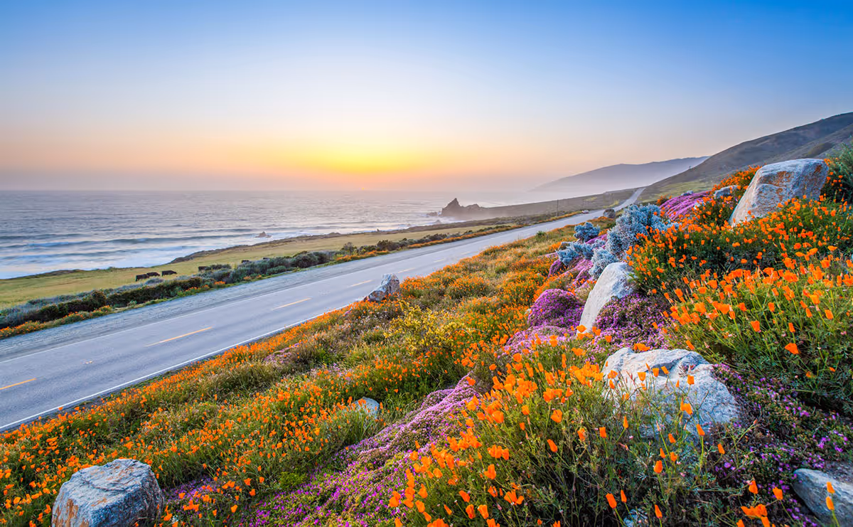 Environmental compliance services - California coastline