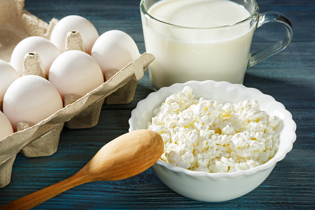 Healthy dairy foods like milk, eggs, and cottage cheese arranged on a table to support strong teeth.