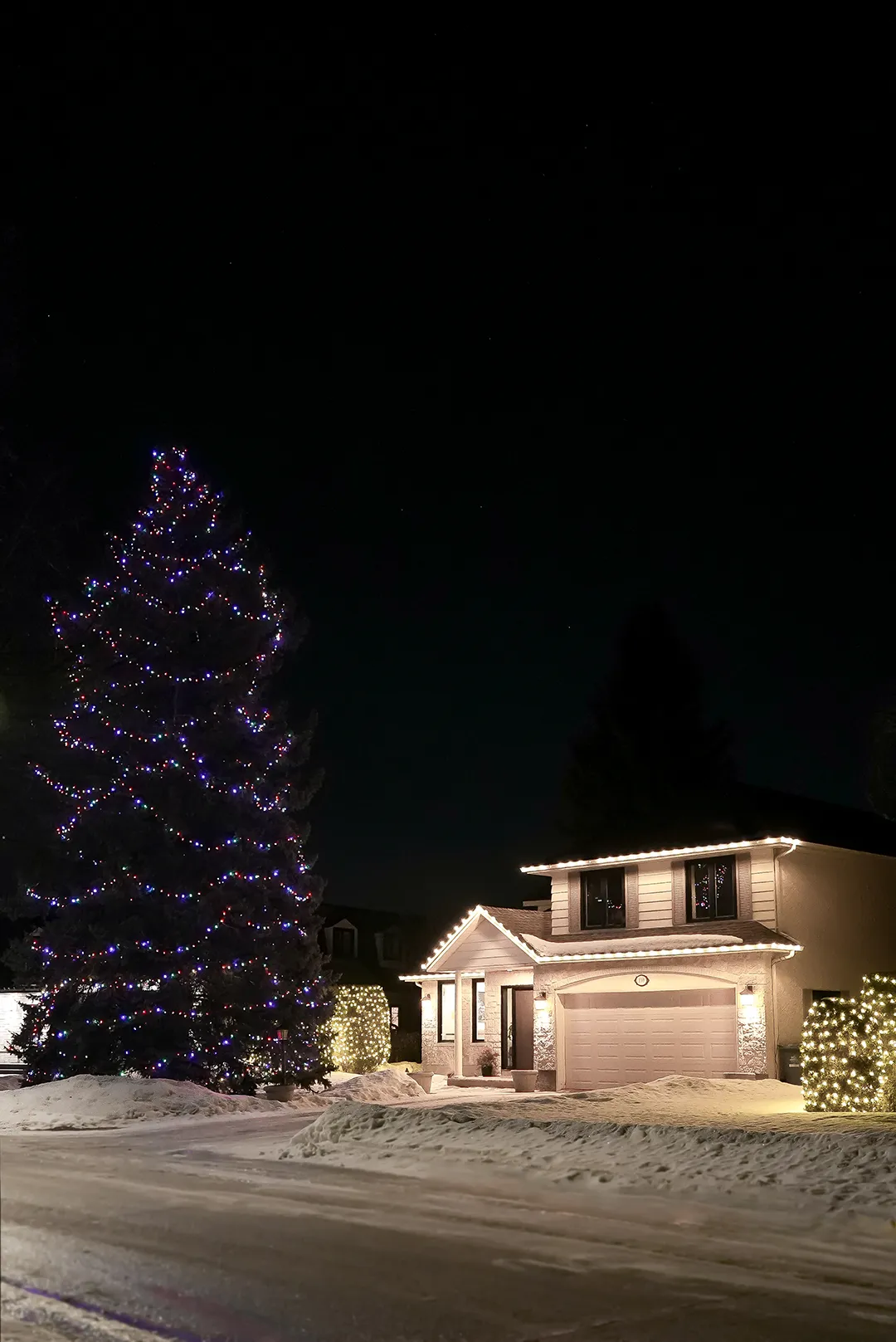 Christmas lights on tree and house