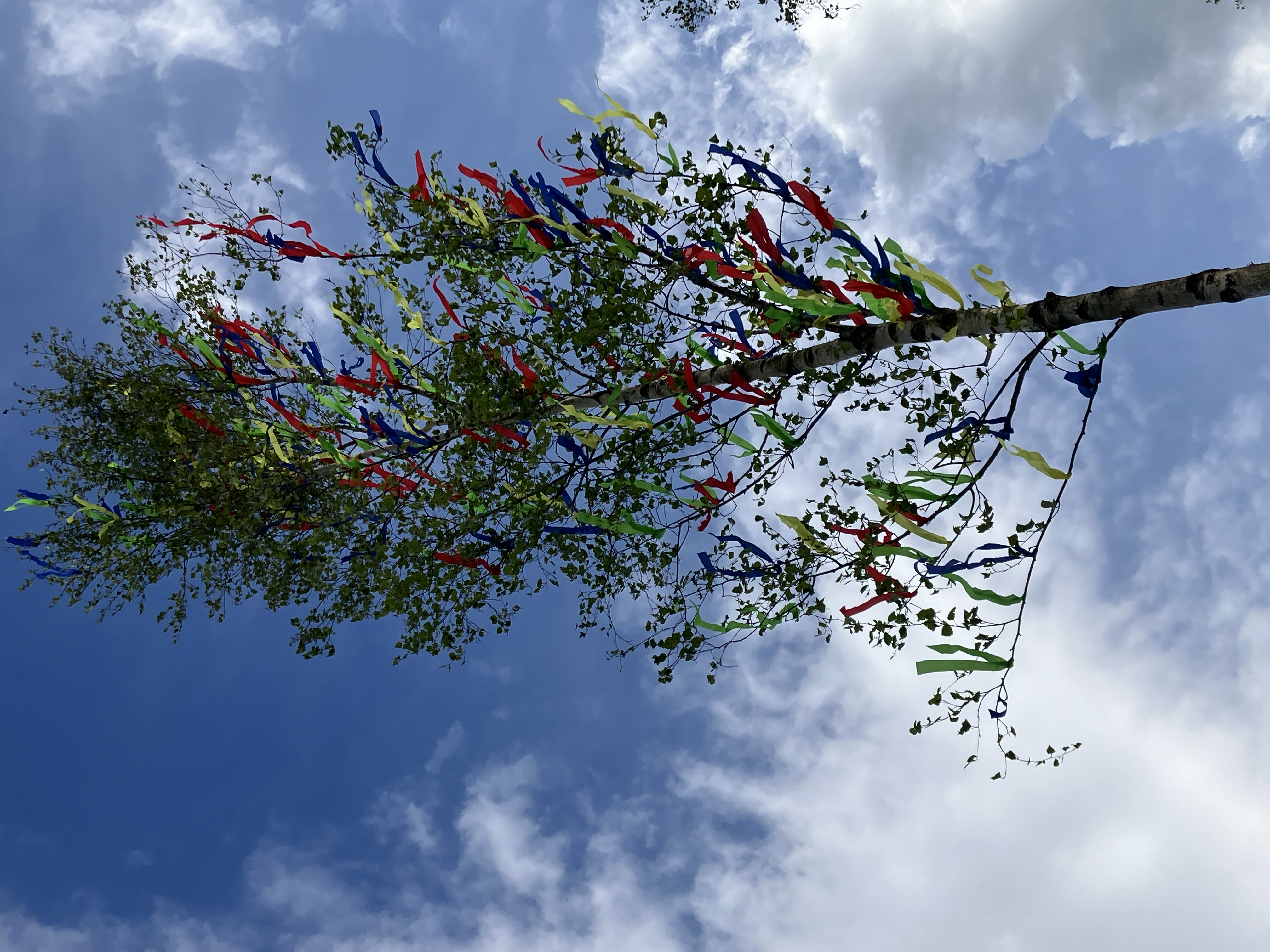 Maibaum Aufstellen 2024