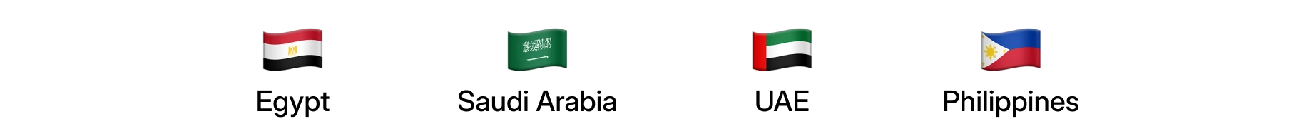 Country flags representing TMS expansion