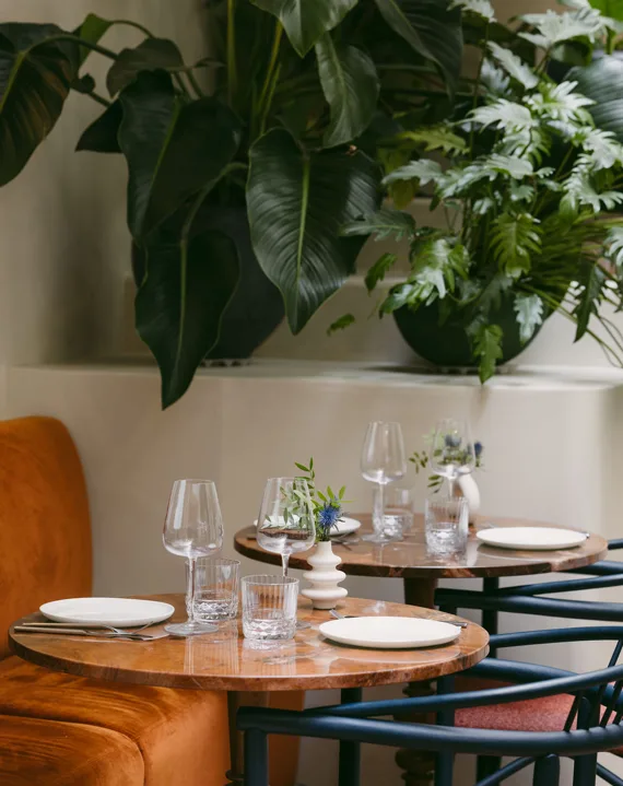 Le restaurant de l’hôtel de Buci et son jardin d’hiver situé à Saint- Germain-des-Prés, Paris 6