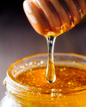 environnement naturel