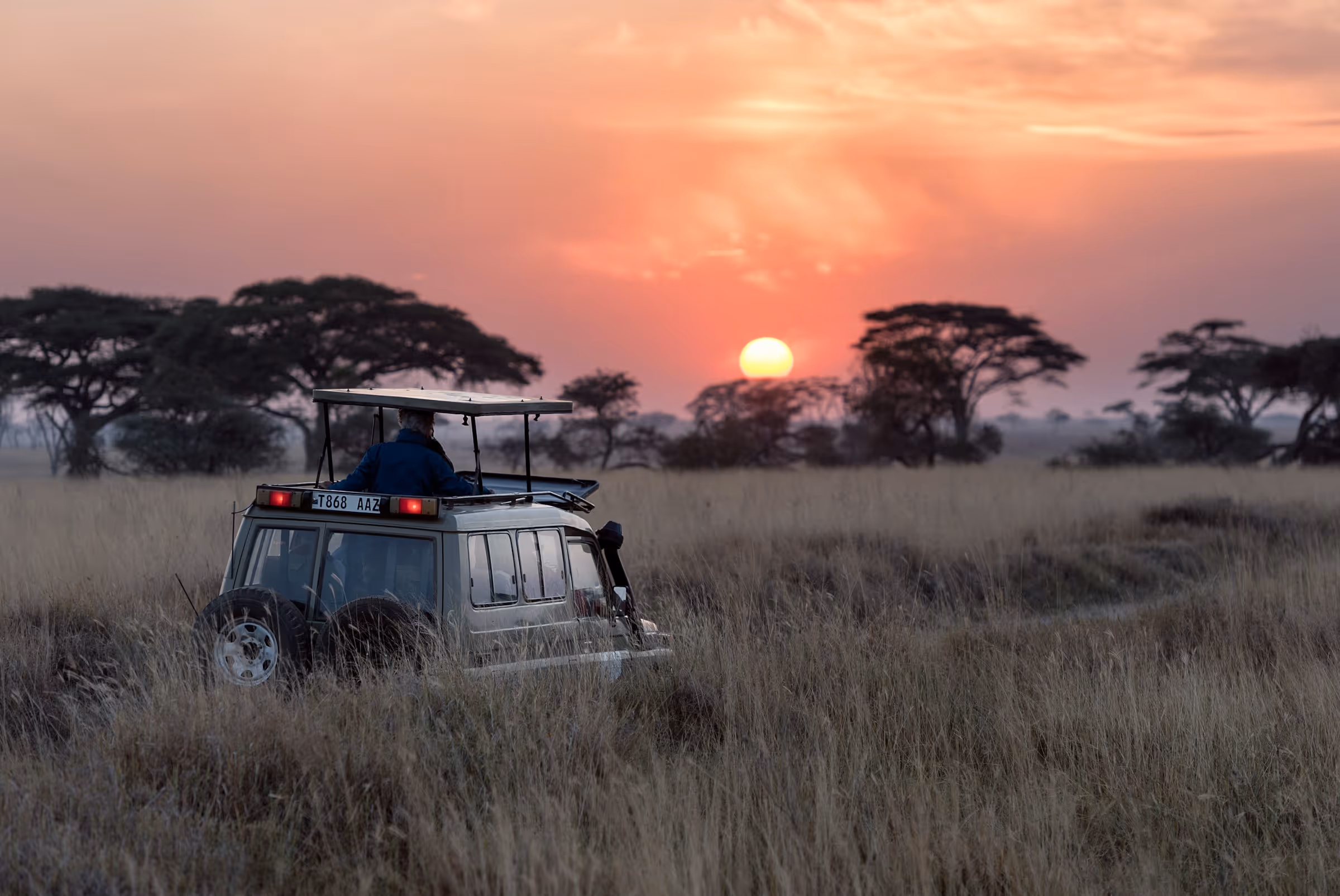 Sonnenuntergangsbild auf der Safari