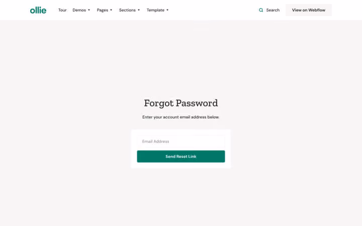 Forgot Password page with email input field and button to send reset link on website page.