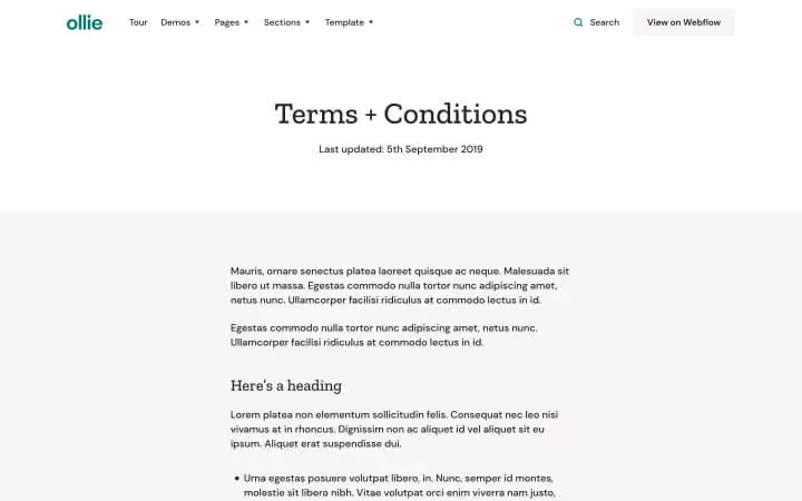 Website Terms and Conditions page showing text and headings with a menu and search bar at the top.