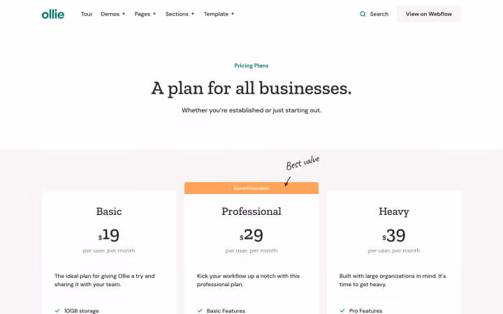 Pricing plans for businesses: Basic $19, Professional $29 with best value tag, Heavy $39 per user per month.