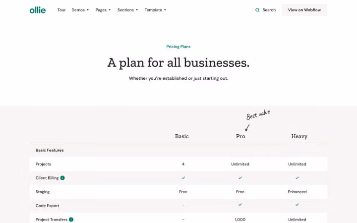 Pricing table comparing Basic, Pro, and Heavy plans with features like projects, billing, and staging options.