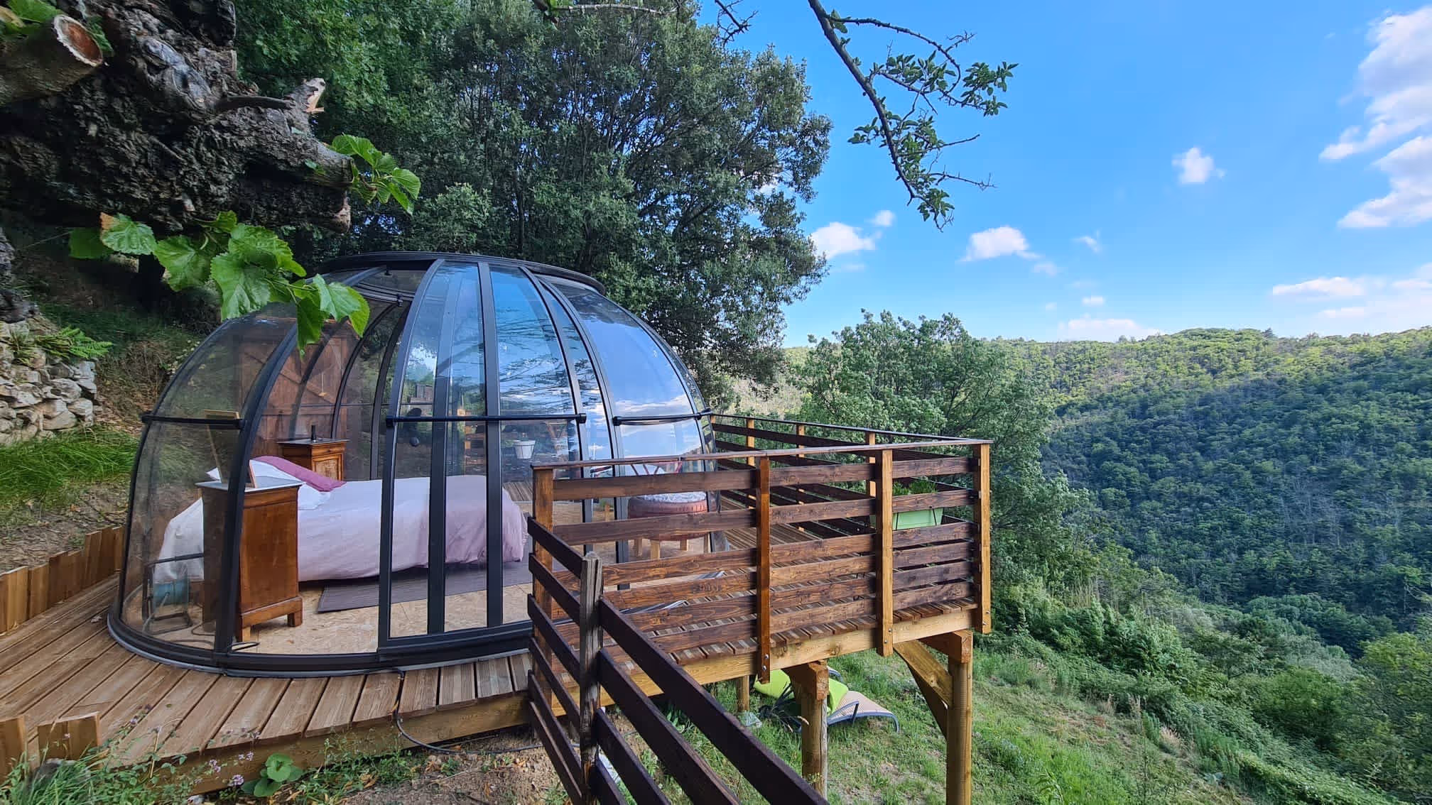 logement dans la forêt