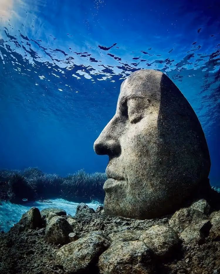 ecomusée insolite cannes