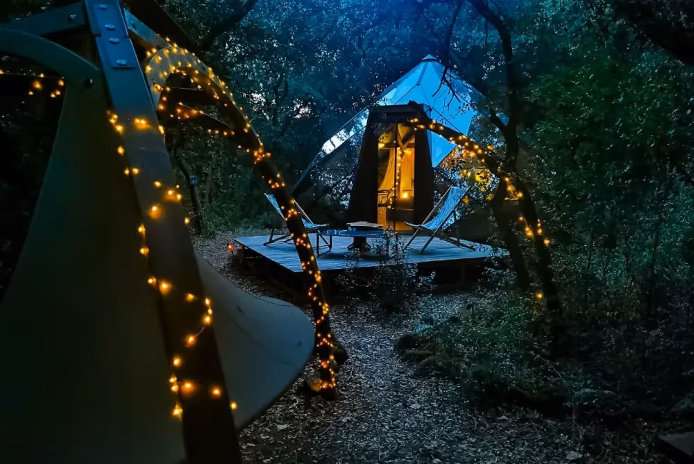 Cabane dans la forêt : nos coups de cœur