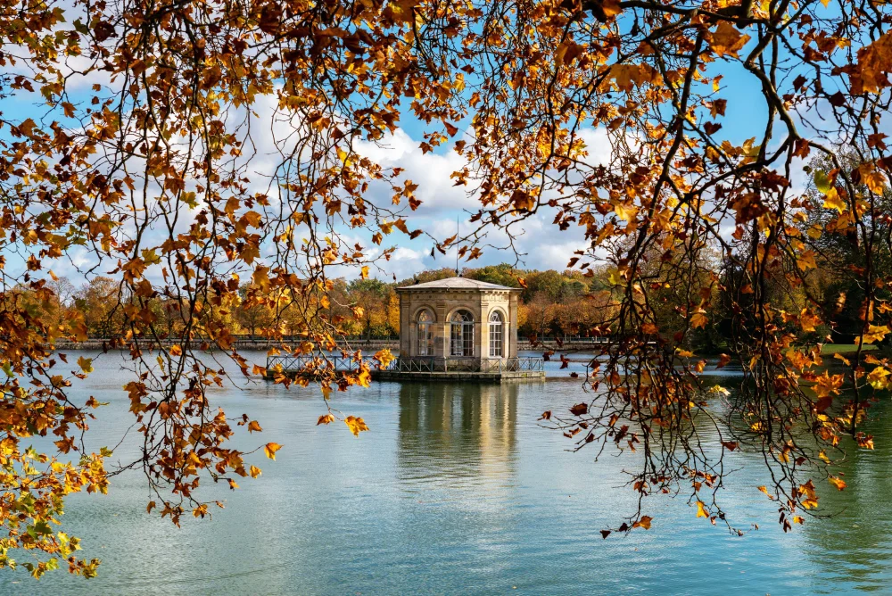 Forêt de Fontainebleau : l’escapade pour un week-end en pleine nature à moins d’une heure de Paris