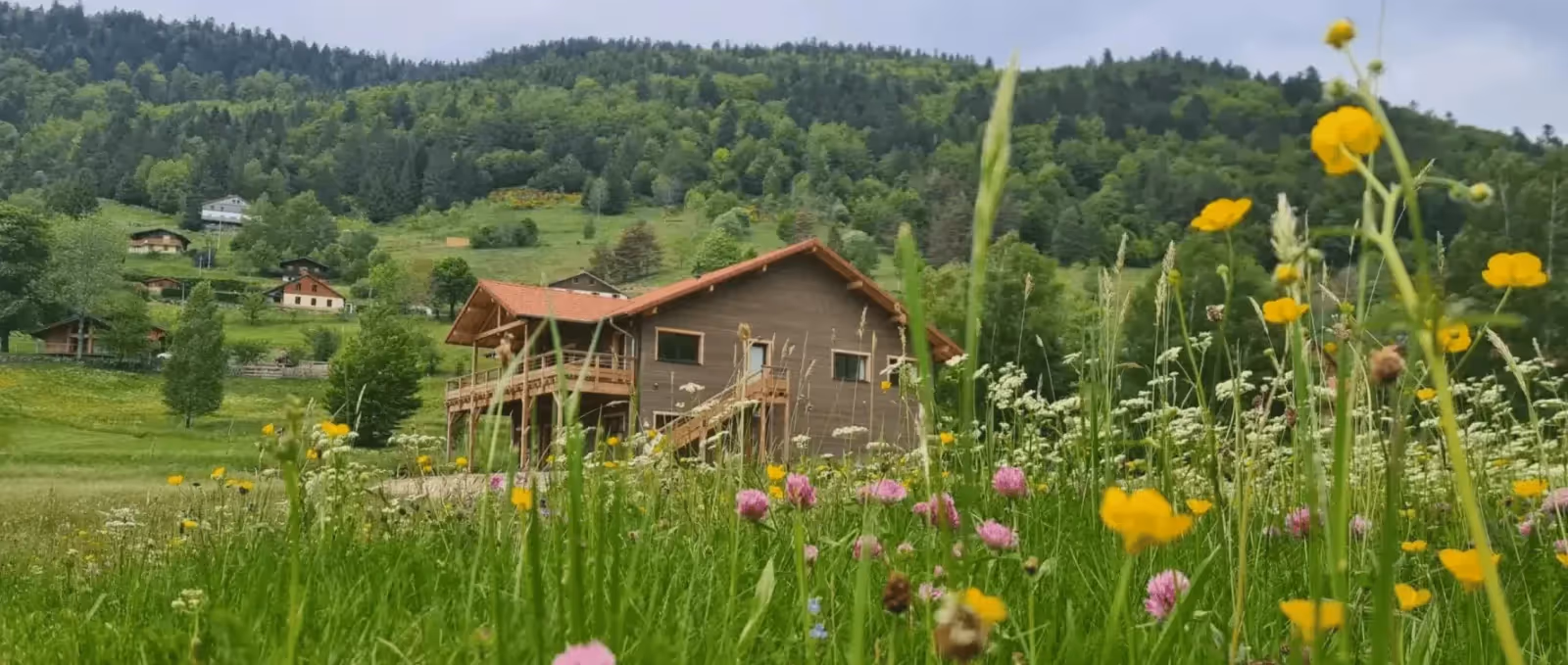 GreenGo lance son accompagnement à la transition écologique : Opération Transition