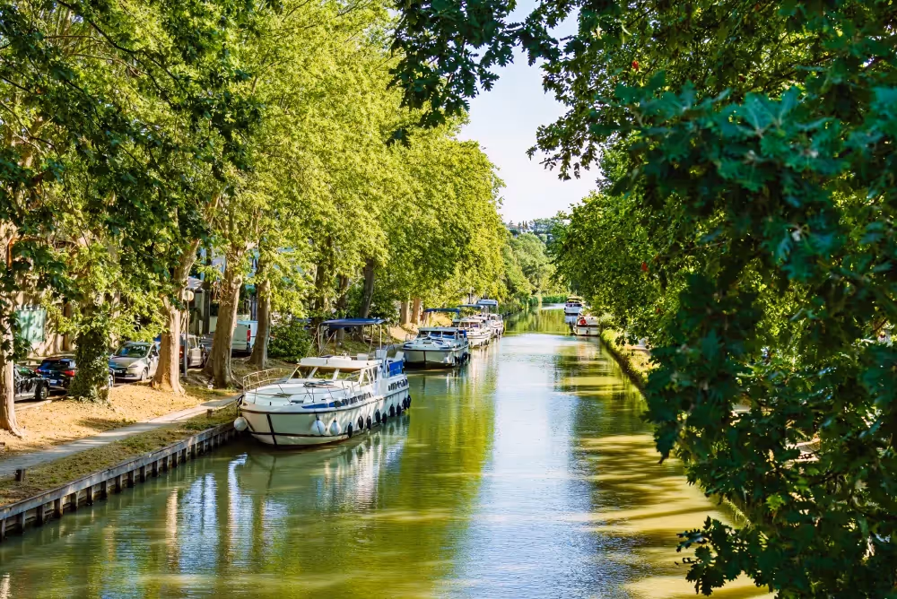 Le canal du Midi à vélo : notre guide pratique pour organiser votre escapade au fil de l’eau