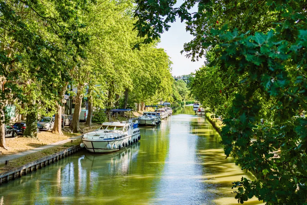 Le canal du Midi à vélo : notre guide pratique pour organiser votre escapade au fil de l’eau