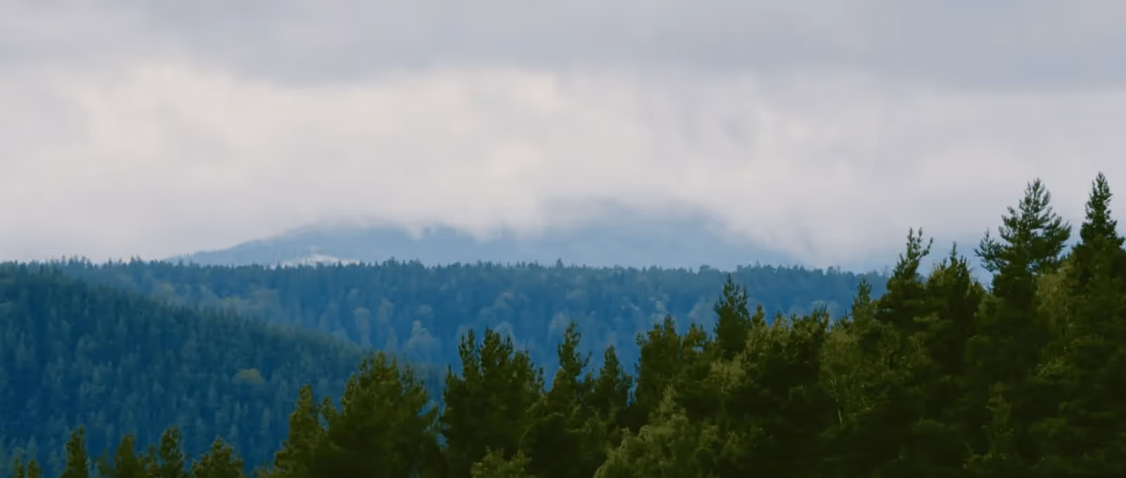 Les 10 plus beaux endroits des Vosges à ne pas manquer
