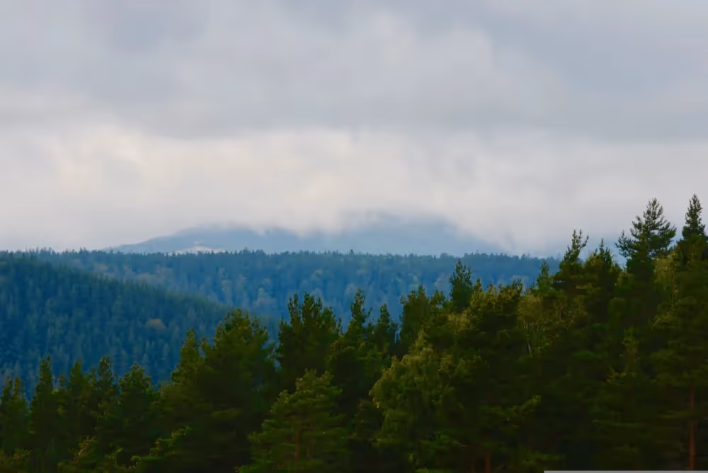 Les 10 plus beaux endroits des Vosges à ne pas manquer