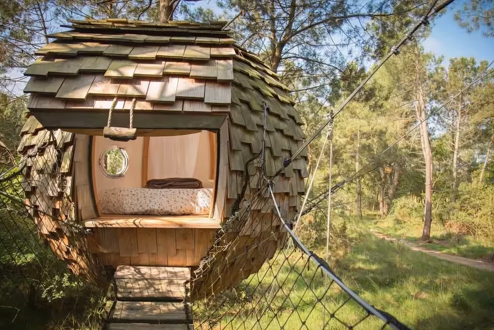 Les plus belles cabanes dans les arbres en Bretagne