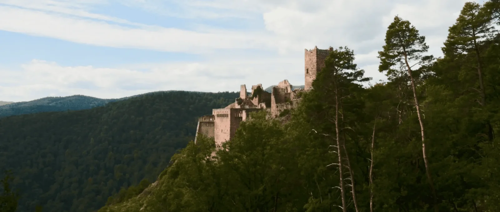 Lieu insolite en Alsace : notre top 10 à ne surtout pas louper