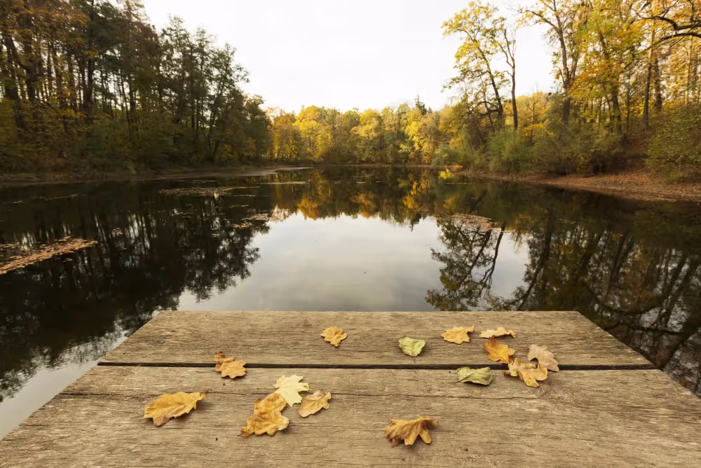 Top 10 des meilleures destinations où partir à la Toussaint
