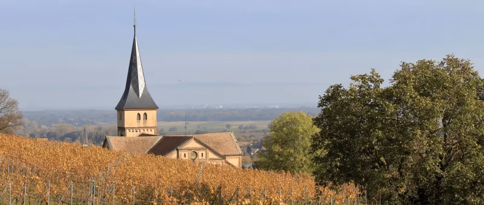 À la découverte de la route des vins en Alsace