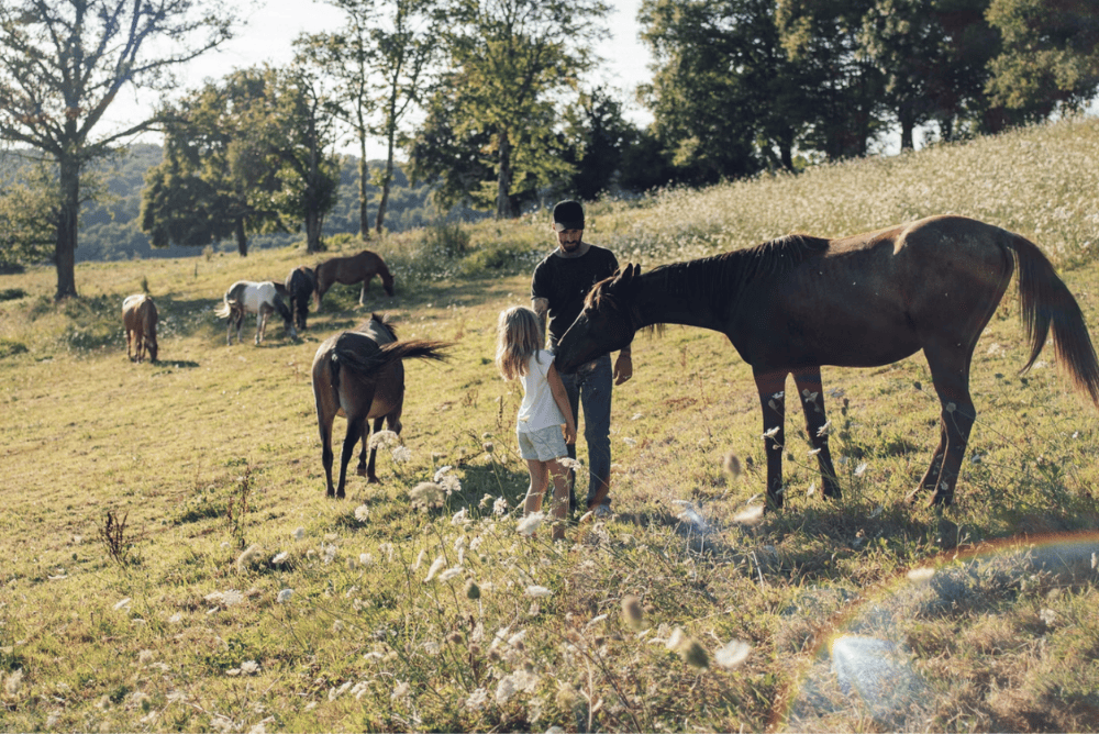 Ferme pédagogique et permaculture : qu’est-ce que c’est ? Une sélection d’hébergements nature à découvrir