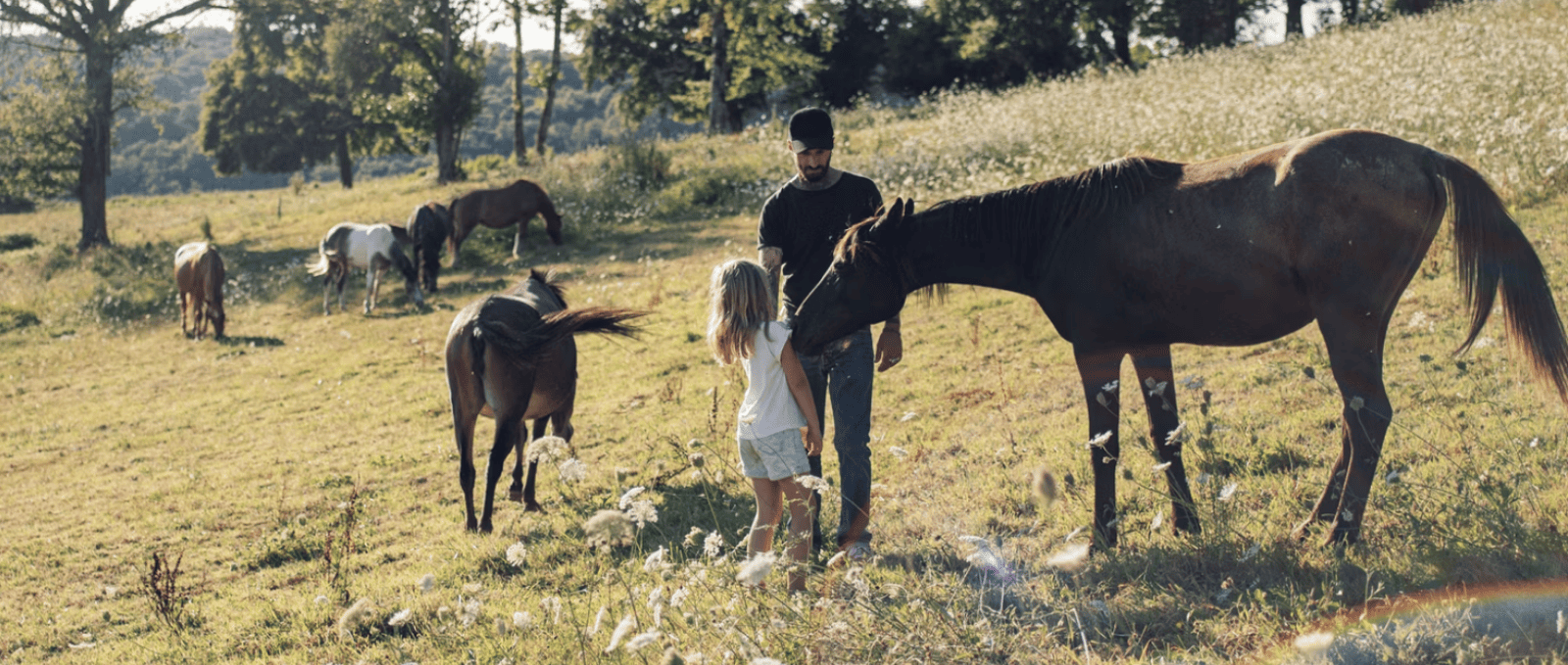 Ferme pédagogique et permaculture : qu’est-ce que c’est ? Une sélection d’hébergements nature à découvrir