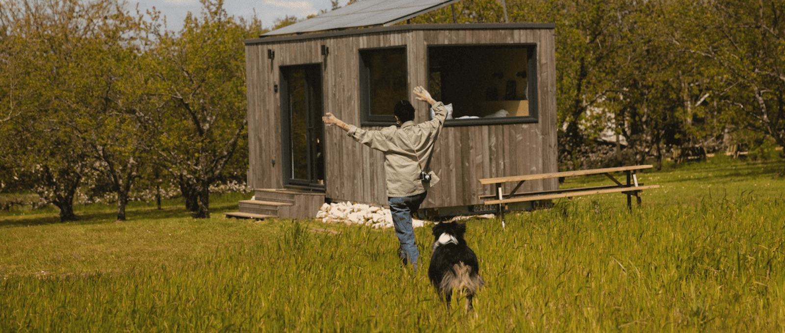 Où partir cet été avec ses animaux ? Nos idées de vacances 100% pet-friendly