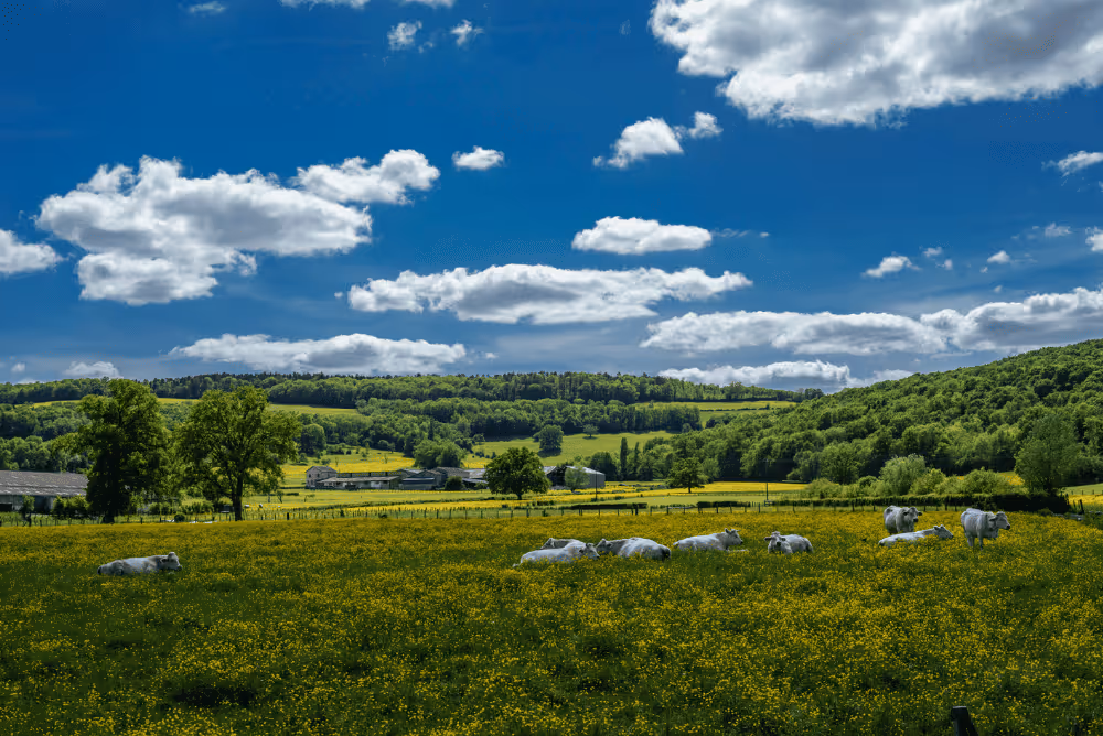 Hors vacances scolaires : nos 8 destinations nature à explorer quand les enfants sont en classe