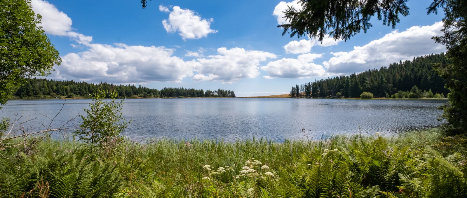 Top 8 des plus beaux lacs d’Auvergne à explorer en 4 saisons