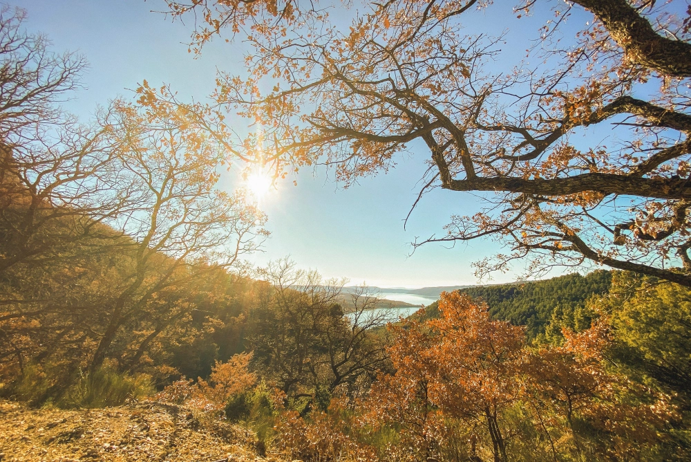 Où partir le week-end du 8 mai en France : 16 idées de séjours pour tous les goûts