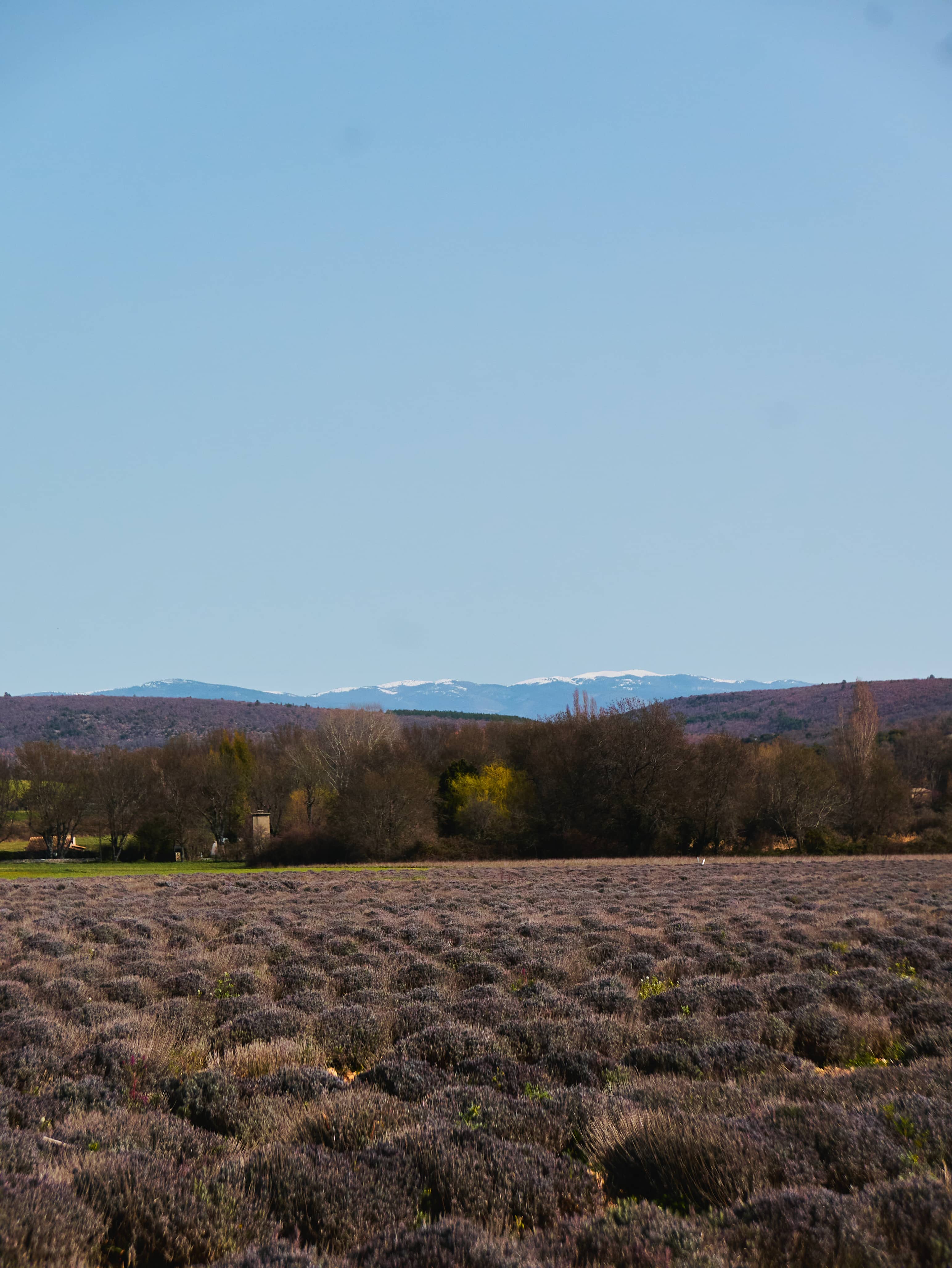 Vallée et vue sur les montagnes en Haute-Provence