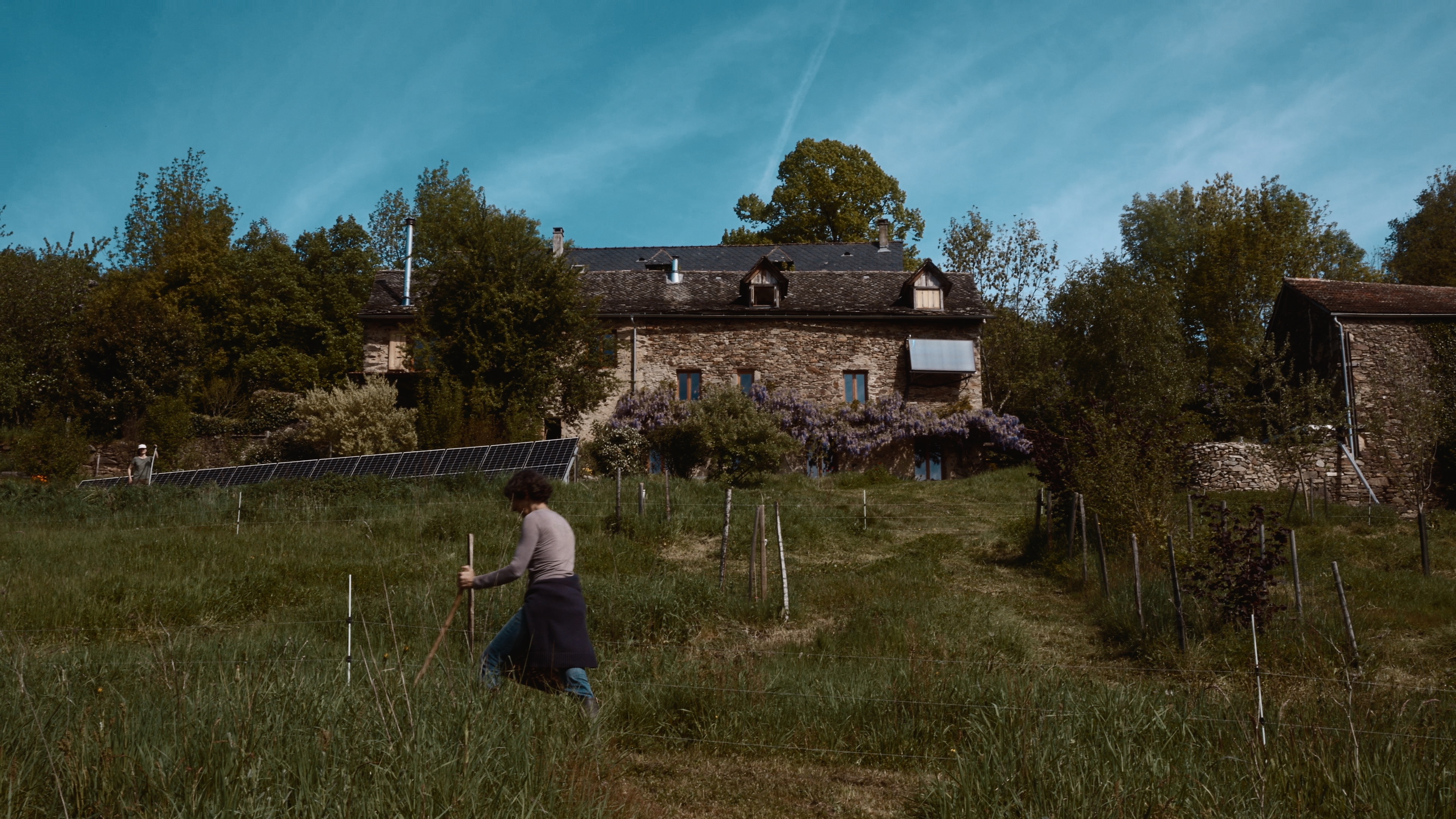 Jardin de la vie en vert
