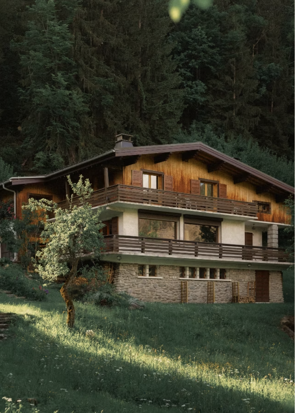 Chambres d'hôtes dans un Chalet vintage face à la chaîne du Mont-Blanc