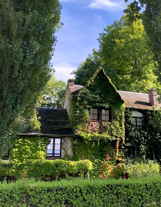 Le moulin des bois