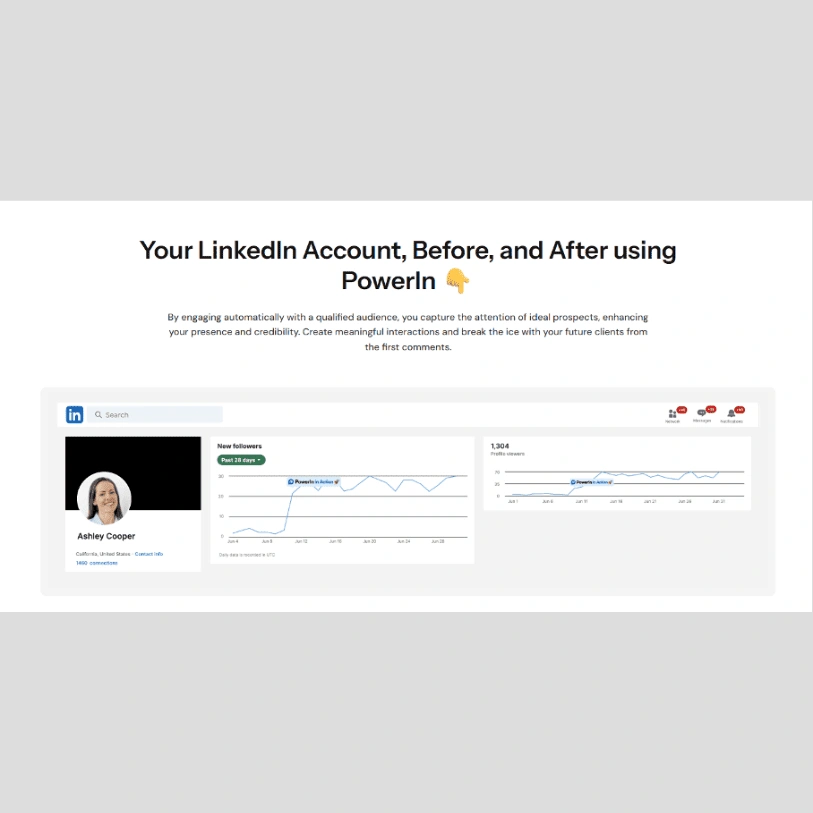 PowerIn, exemple de profil LinkedIn