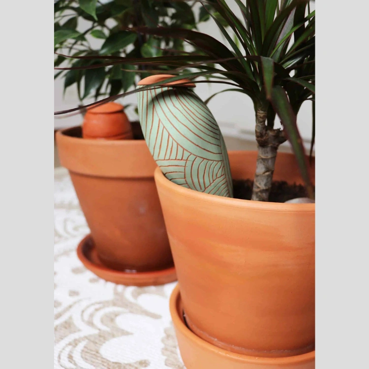 Pots (oyas) avec plante à l'intérieur