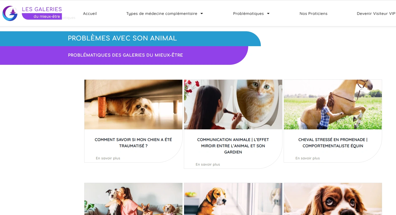 Page d'accueil site galerie du mieux être