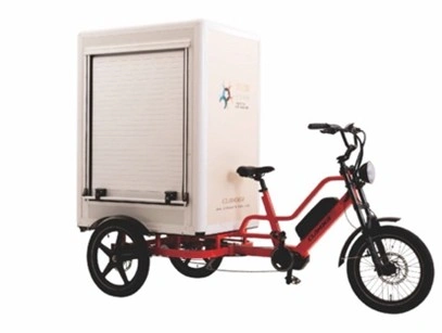 Treebike , vélo cargo nourriture