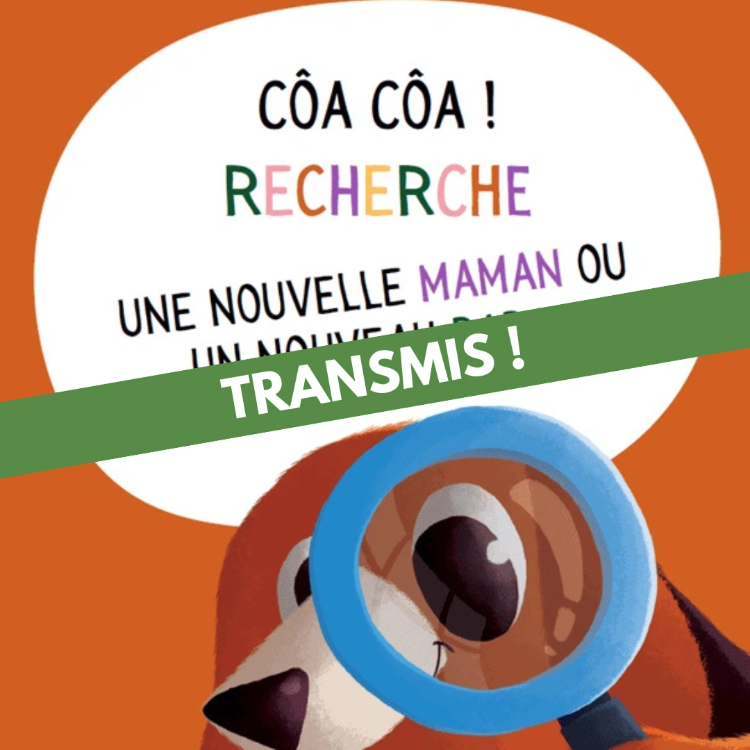 Côa Côa !