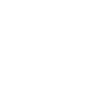 Icon Golfer