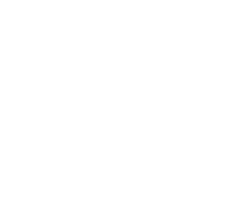 icon winter
