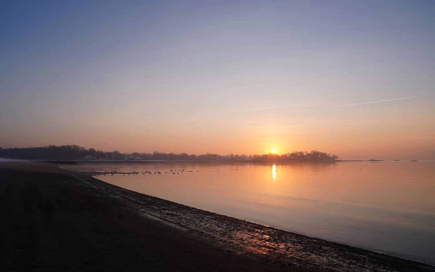 Calm shoreline at sunrise with trees silhouetted in the distance and birds on the water.