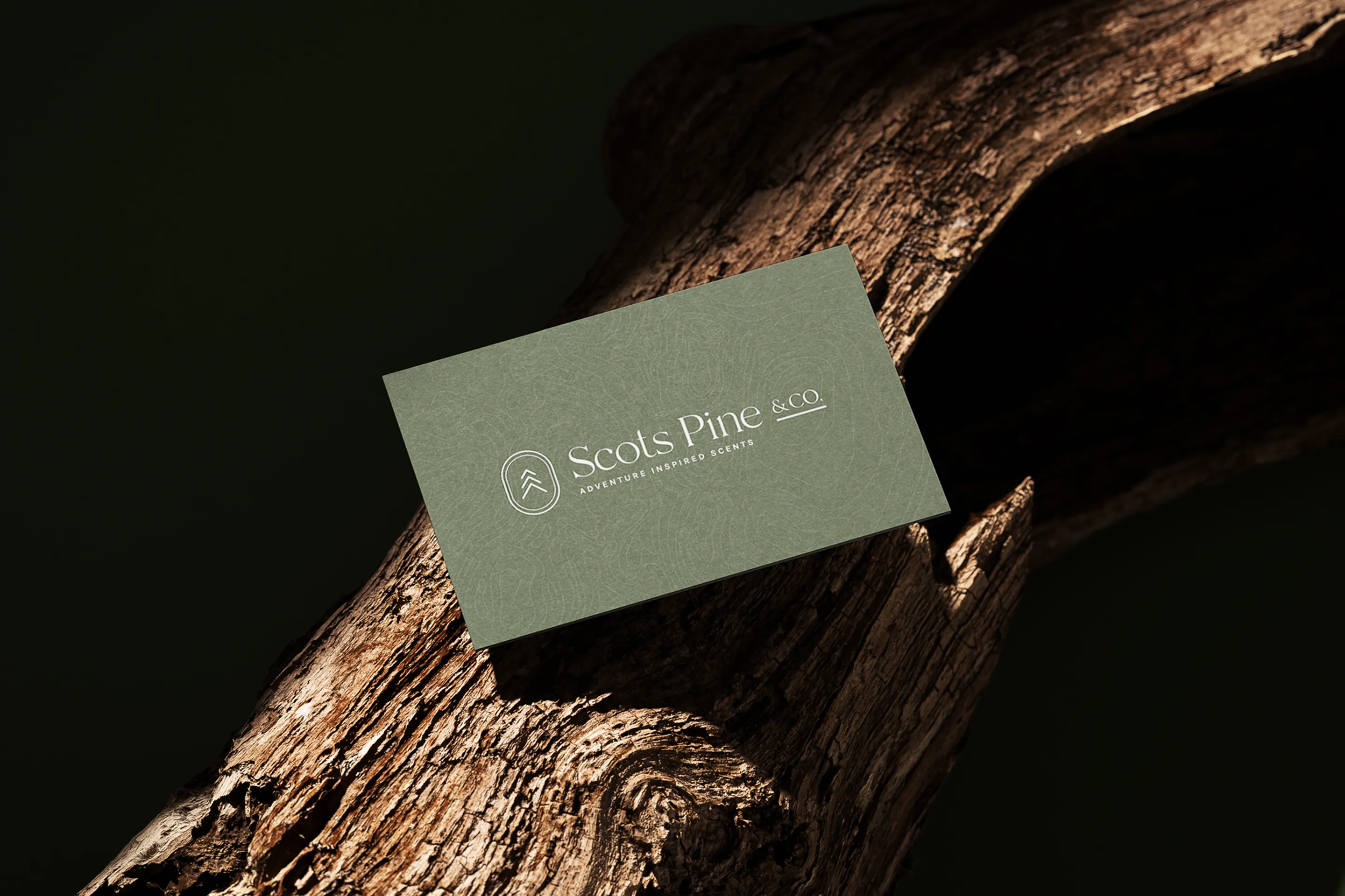 business card mocked up and prop up on tree