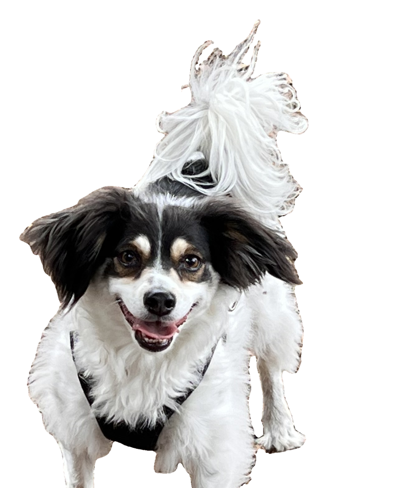 Mac placeholder