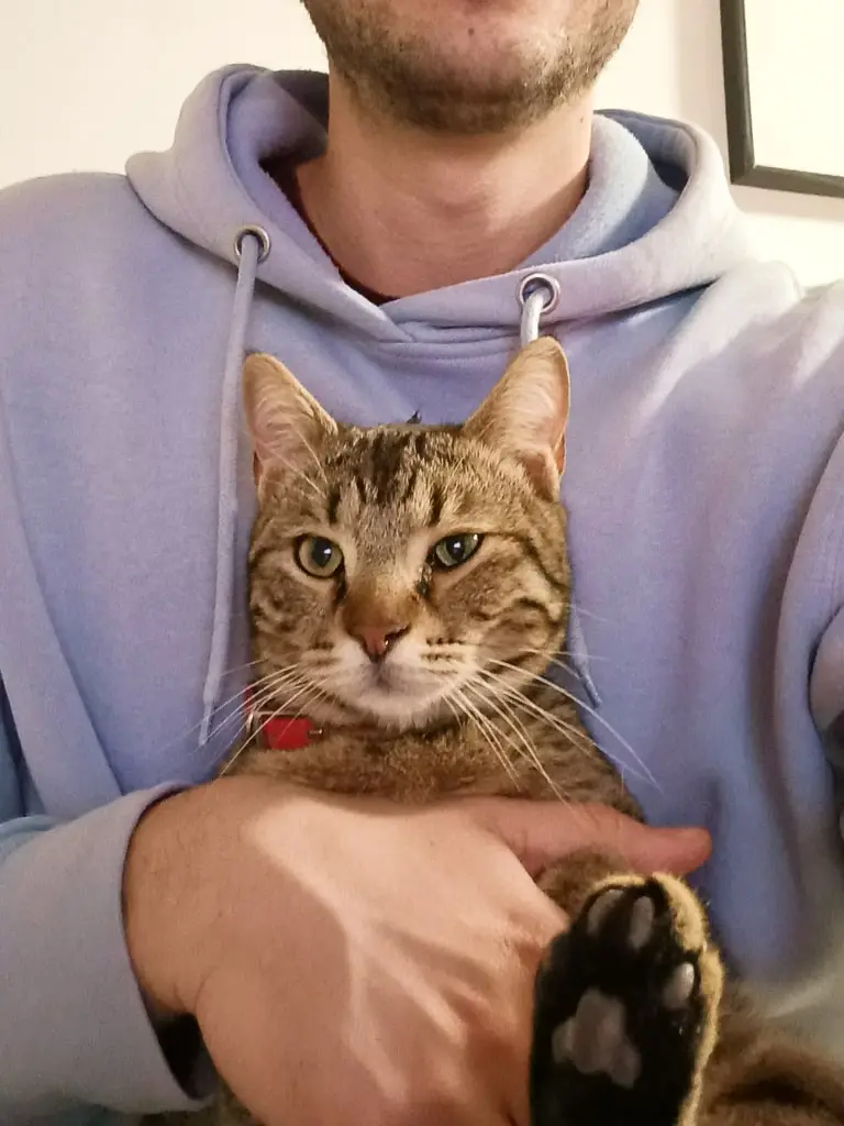 Antonis is holidng Simpa on his chest, a male cat